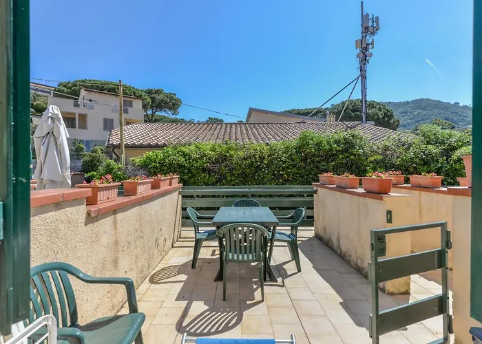 Il Quadrifoglio 3 프로키오